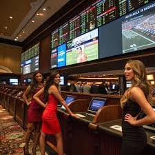 bet444 pg